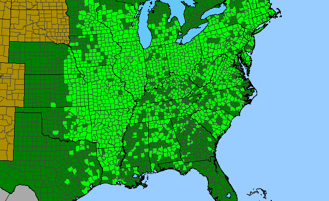 The range of Carya cordiformis
